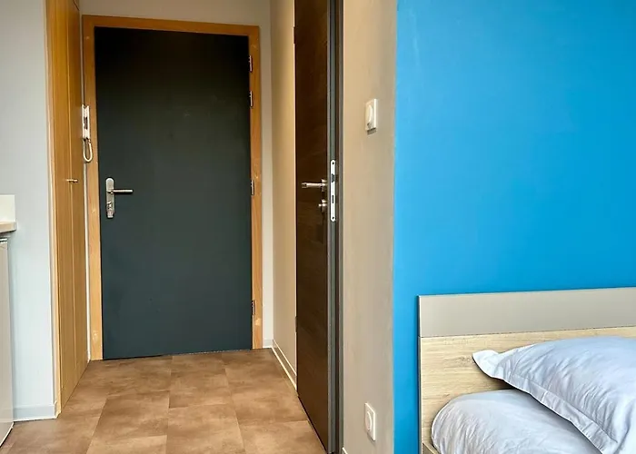 69 Renove Et Equipe - Nancy Chru,cesi,fac 公寓 *