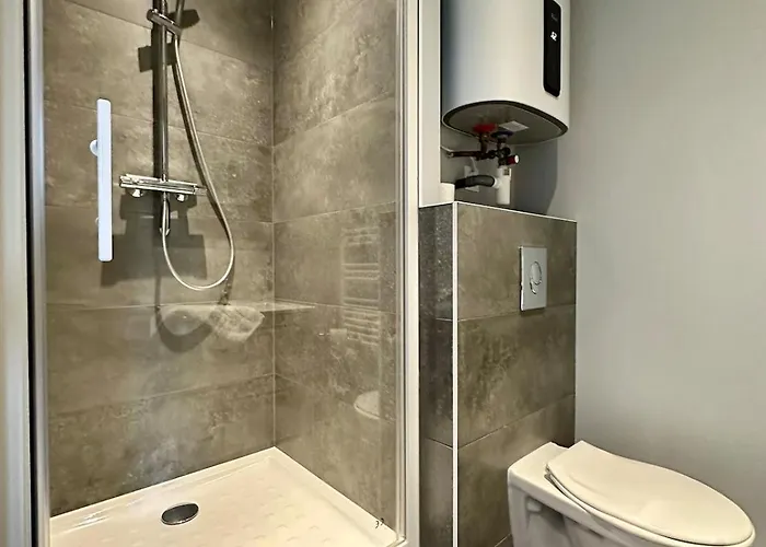 69 Renove Et Equipe - Nancy Chru,cesi,fac 公寓